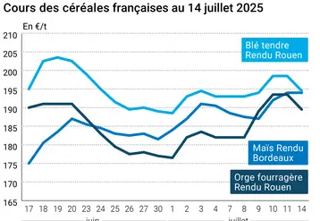 Graphique prix blé orge maïs France au 14 juillet 2025