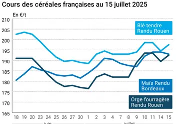 Graphique prix blé orge maïs France du 15 juillet 2025