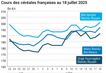 Graphique prix blé orge maïs France au 18 juillet 2025