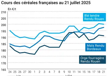 Graphique prix blé orge maïs France du 21 juillet 2025