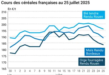 Graphique prix blé orge maïs France du 25 juillet 2025