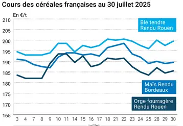 Graphique prix blé orge maïs France du 30 juillet 2025