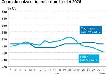 Graphique prix colza tournesol France du 1er juillet 2025