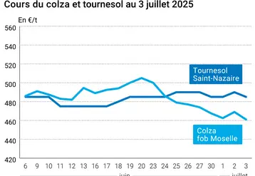 Graphique prix colza tournesol France du 3 juillet 2025