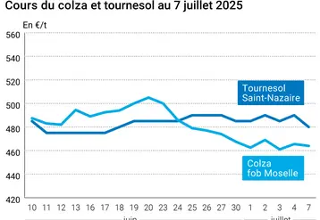 Graphique prix colza tournesol France du 7 juillet 2025