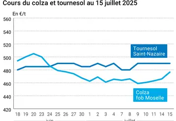 Graphique prix colza tournesol France du 15 juillet 2025