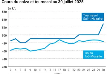 Graphique prix colza tournesol France du 30 juillet 2025