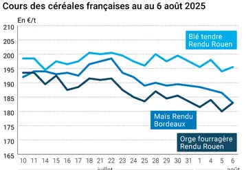 Graphique prix blé orge maïs France du 6 août 2025