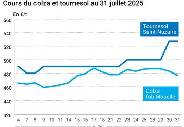 Graphique prix colza tournesol France du 31 juillet 2025