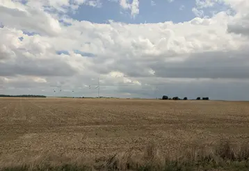 champ moissonné, avec éolienne au loin, Creuse, août 2025