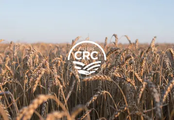 logo CRC