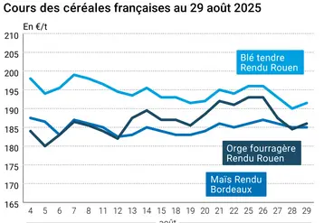 Graphique prix blé orge maïs France au 29 août 2025