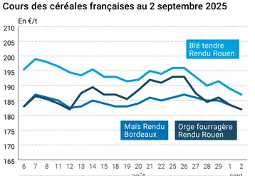 Graphique prix blé orge maïs France du 2 septembre 2025