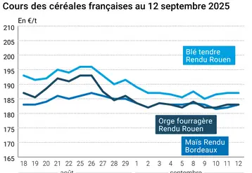 Graphique blé orge maïs France du 12 septembre 2025