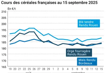 Graphique prix blé orge maïs France du 15 septembre 2025