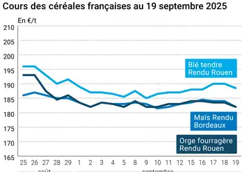 Graphique prix blé orge maïs du 19 septembre 2025