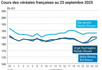 Graphique prix blé orge maïs France du 25 septembre 2025
