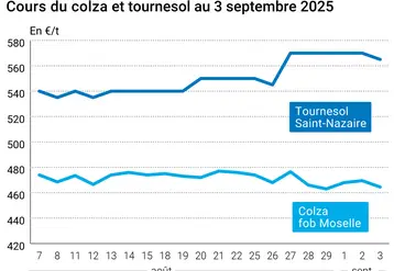 Graphique prix colza tournesol France du 3 septembre 2025