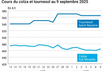 Prix du colza rendu Rouen et du tournesol rendu Saint Nazaire