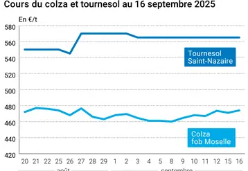 Graphique prix colza tournesol France du 16 septembre 2025