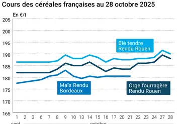 Graphique prix blé orge maïs France du 28 octobre 2025