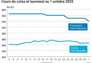 Graphique prix colza tournesol France du 1er octobre 2025