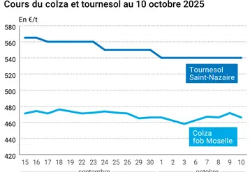 Graphique colza tournesol France au 10 octobre 2025