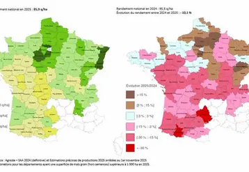 Deux cartes de France qui présentent les rendements du maïs 2025 par département et les écarts par rapport à la récolte 2024.