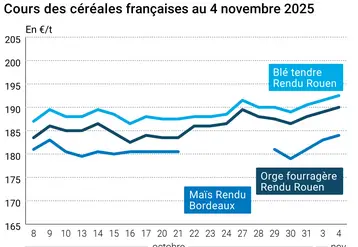Graphique prix blé orge maïs France au 5 novembre 2025 