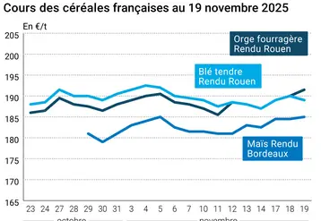 Graphique prix blé maïs orge France au 19 novembre 2025 