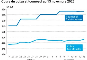 Graphique prix colza tournesol France au 13 novembre 2025  