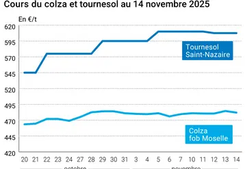 Graphique prix colza tournesol France au 14 novembre 2025  