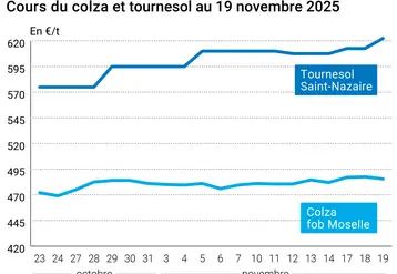 Graphique prix colza tournesol France au 19 novembre 2025 