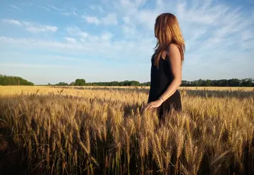 Champ de blé à Mercedes, province de Buenos Aires, Argentine.