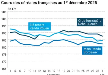 Graphique prix blé maïs orge France au 1er décembre 2025
