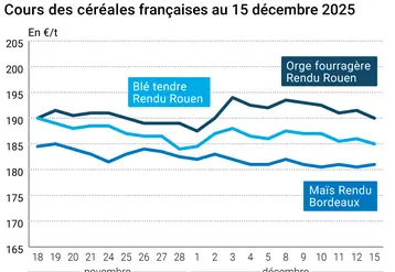 Graphique prix blé orge maïs France au 15 décembre 2025 