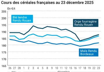Graphique prix blé maïs orge France au 23 décembre 2025 