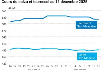 Graphique prix colza tournesol France au 11 décembre 2025  