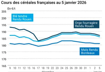 prix du blé tendre rendu Rouen, de l'orge fourragère rendu Rouen et du maïs rendu Bordeaux en juillet août 2024