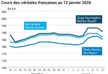 Graphique prix blé maïs orge France au 12 janvier 2026 