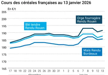 Graphique prix blé orge maïs France au 13 janvier 2026  