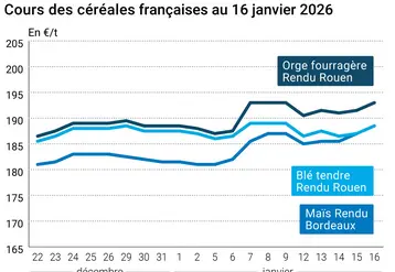 Graphique prix blé maïs orge France au 16 janvier 2026 