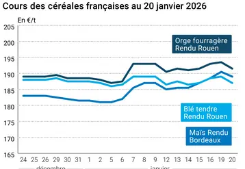 Graphique prix blé maïs orge France au 20 janvier 2026 