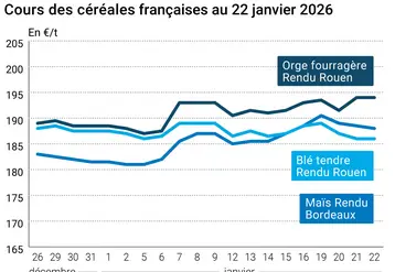 Graphique prix blé maïs orge France au 22 janvier 2026 