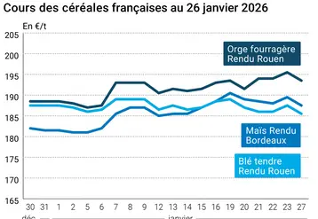 Graphique prix blé orge maïs France au 26 janvier 2026