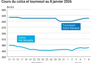 Prix du colza rendu Rouen et du tournesol rendu Saint Nazaire