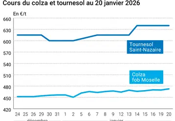 Graphique prix colza tournesol France au 20 janvier 2026  