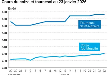 Graphique prix colza tournesol France au 23 janvier 2026  