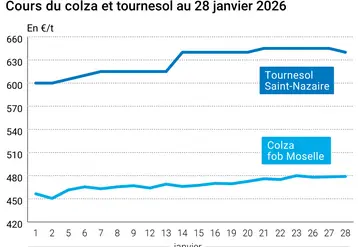 Graphique prix colza tournesol France au 28 janvier 2026  