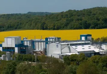 Champs de colza et usine de trituration